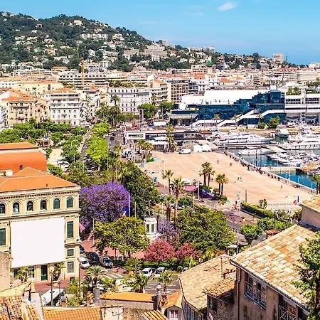 Apartment And Festival Palais Cannes