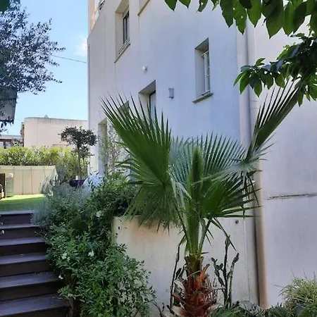 Apartment And Festival Palais Cannes