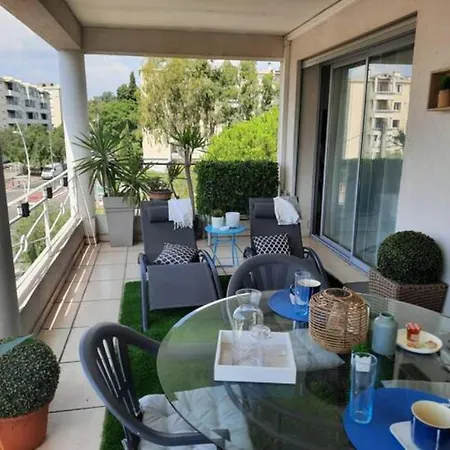 Apartment And Festival Palais